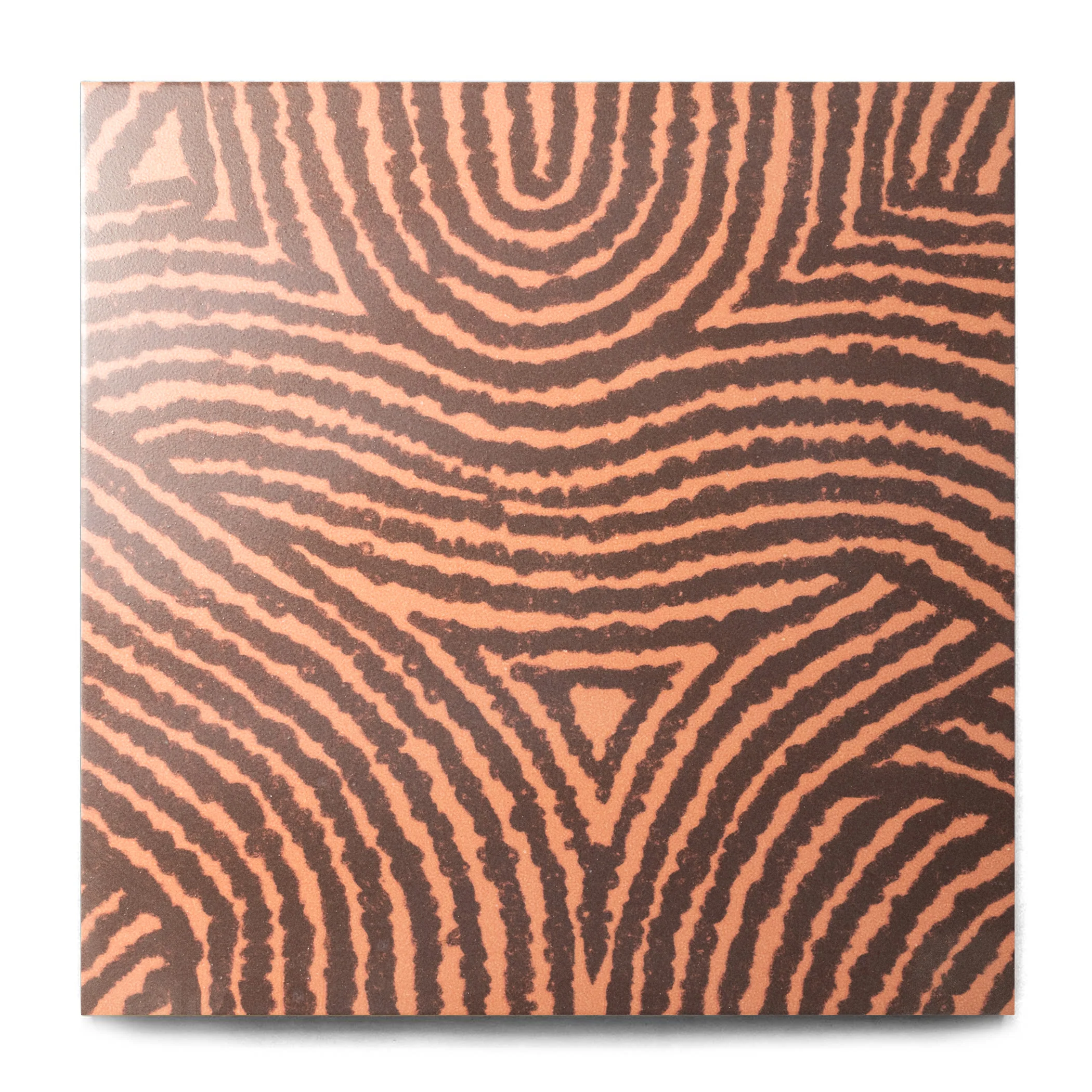 Koru - Image 3